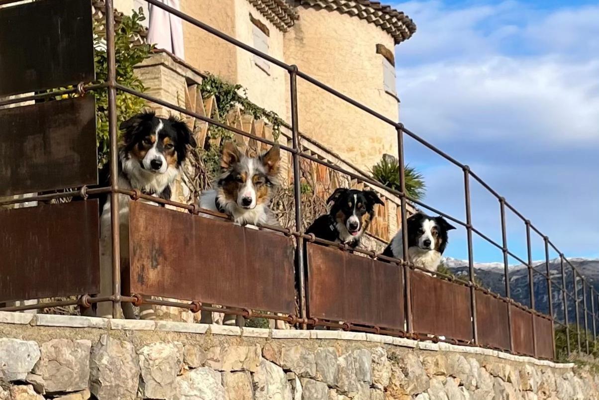 L'Escale Du Ciel Bed & Breakfast Le Bar-sur-Loup Eksteriør bilde