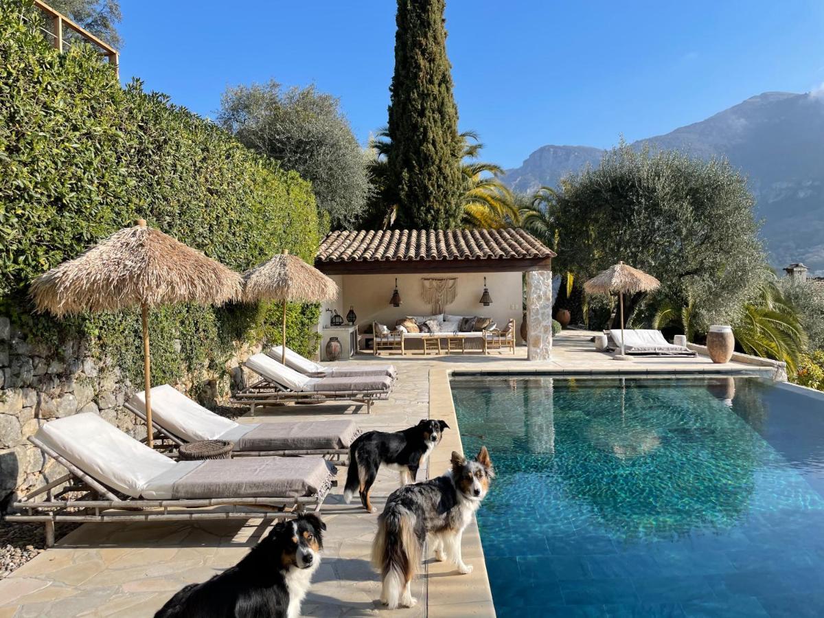 L'Escale Du Ciel Bed & Breakfast Le Bar-sur-Loup Eksteriør bilde