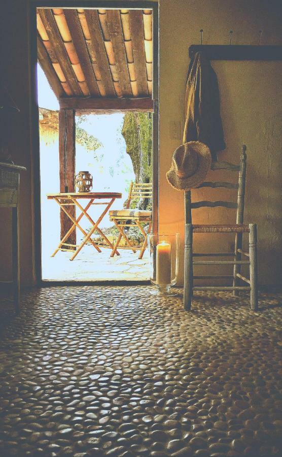 L'Escale Du Ciel Bed & Breakfast Le Bar-sur-Loup Eksteriør bilde